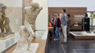 Bílý dotykový anatomický mužský model bez paží, v pozadí návštěvníci.