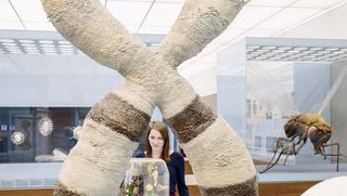 Im Vordergrund ein in Menschengröße vergrößertes Chromosom, dahinter steht eine junge Frau vor dem Modell einer Zelle. Im Hintergrund das Modell einer Fruchtfliege, das etwa so groß wie ein Mensch ist.