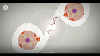 Von Genen und Menschen: Epigenetik (Vorschaubild zum Video)