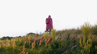 Im Hintergrund ein pink angestrichenes Martin-Luther-Denkmal von hinten in einer Heidelandschaft. Im Vordergrund sind die verschiedenen Pflanzen.