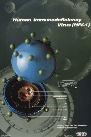 Buntes Model des HI-Virus.