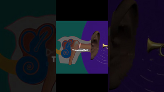 Welt der Sinne:  Der Hör-Sinn (Vorschaubild zum Video)