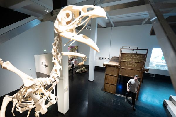 Ausstellungsansicht