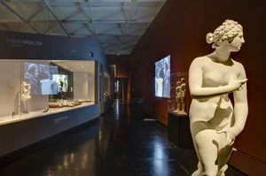Blick in den Eingangsbereich der Ausstellung Scham. Im Vordergrund eine Kopie der antiken Skulptur der Venus, ihre Scham bedeckend.  Im Hintergrund rechts weitere Statuen und an der Wand eine schwarzweiße Videoprojektion.