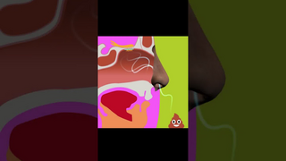 Welt der Sinne: Der Geruchs-Sinn (Vorschaubild zum Video)