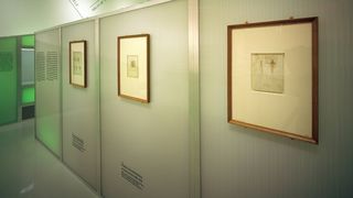 Drei Zeichnungen hängen in braunen Bilderrahmen vor einer Wand aus Milchglas. Dargestellt sind biologische Zeichnungen, wie Wurzeln.