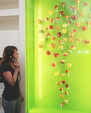 Eine junge Frau mit Audioguide vor einer Virtine mit Apfelsorten, die in Deutschland beheimatet sind.