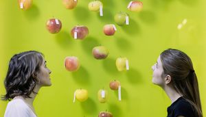Zwei junge Frauen blicken in eine Vitrine mit Äpfeln